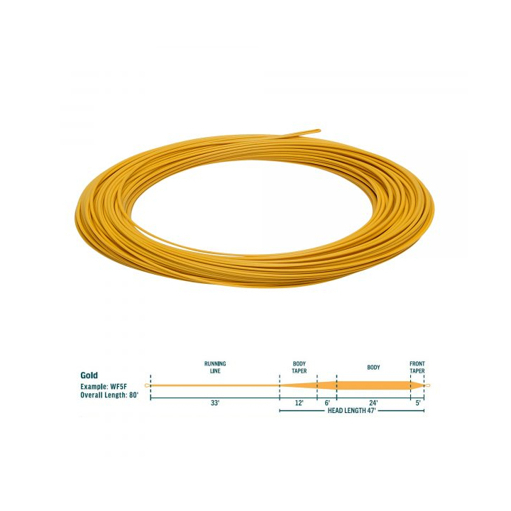 RIO Avid Trout Gold Fly Line