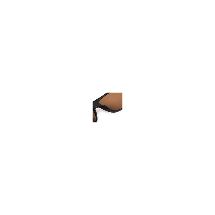 Fox Rage Avius Mat Black Sunglasses