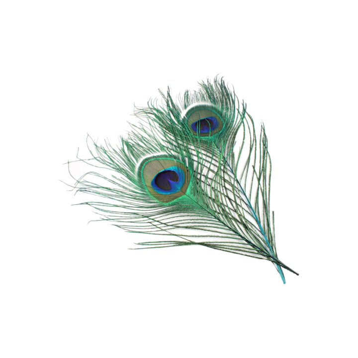 Veniard Peacock Eye Tops