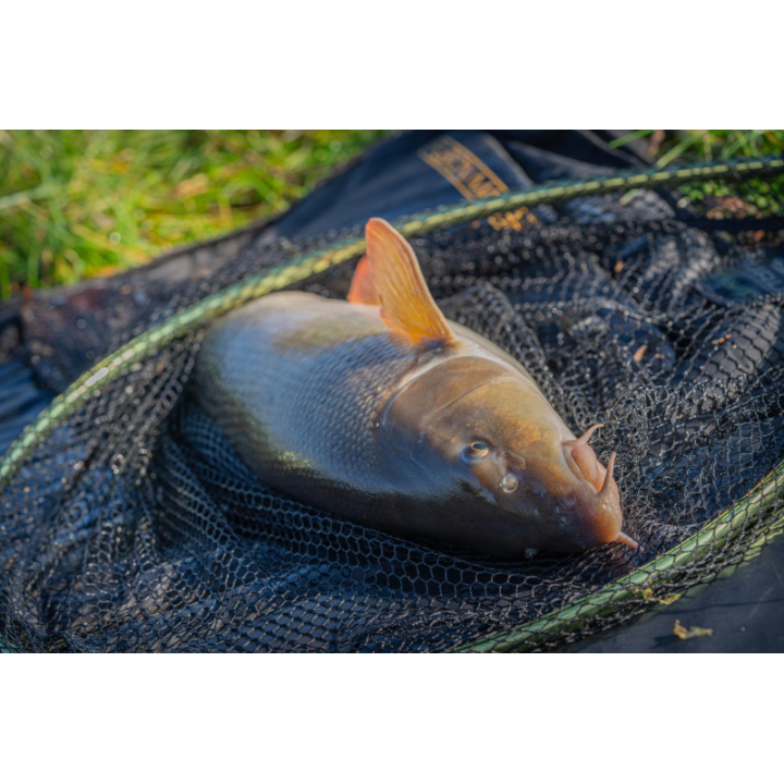 Guru Duel 600 Specimen Net