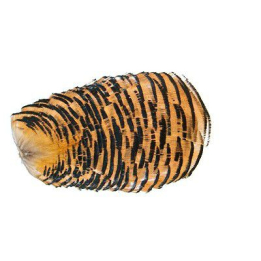 Veniard Golden Pheasant Tippet Collar 1st Quality