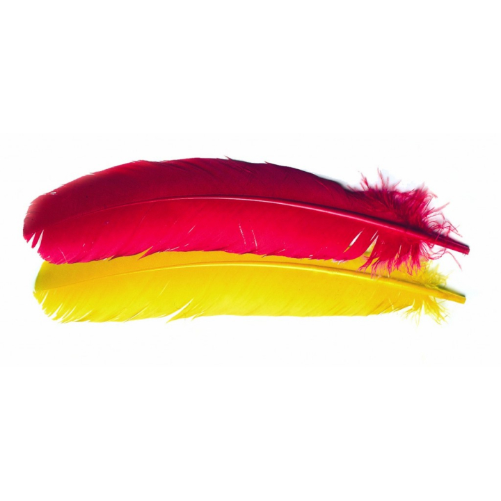 Veniard Turkey Broad Wing Quill Dyed