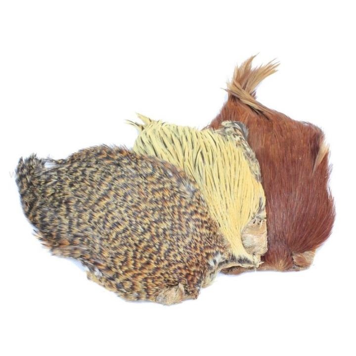 Veniard Indian Cock Cape