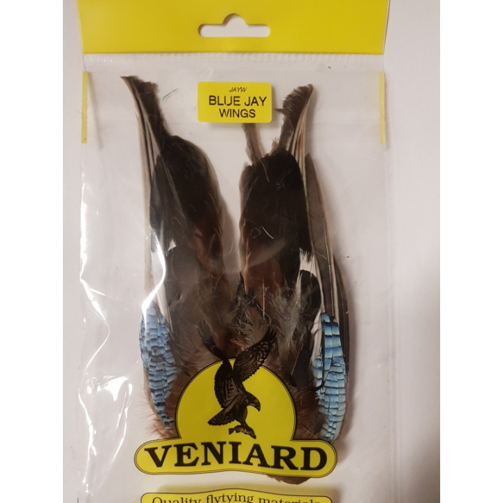 Veniard Blue Jay Wings