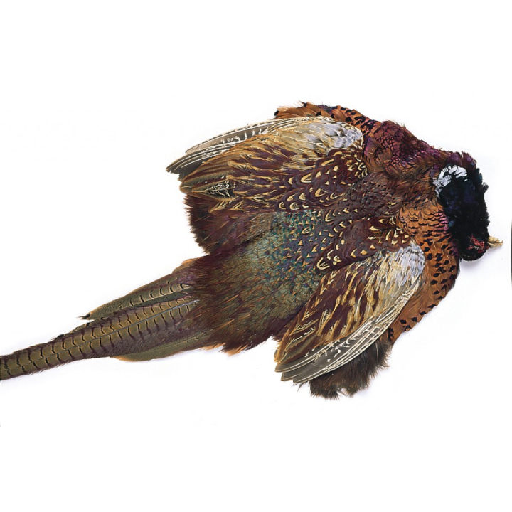Veniard Cock Pheasant Complete Skin