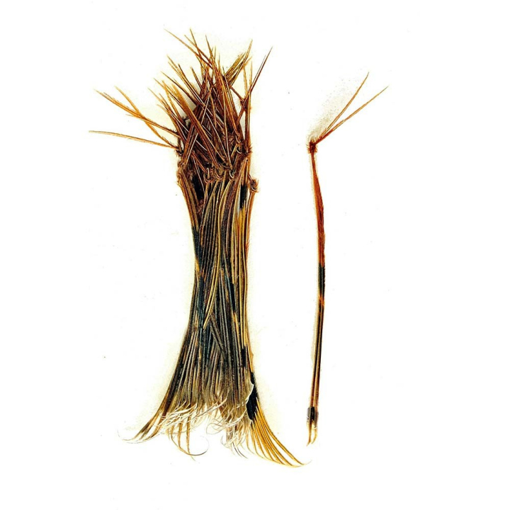 Veniard Hopper Legs - Black