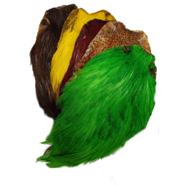 Turrall Chinese Cock Neck