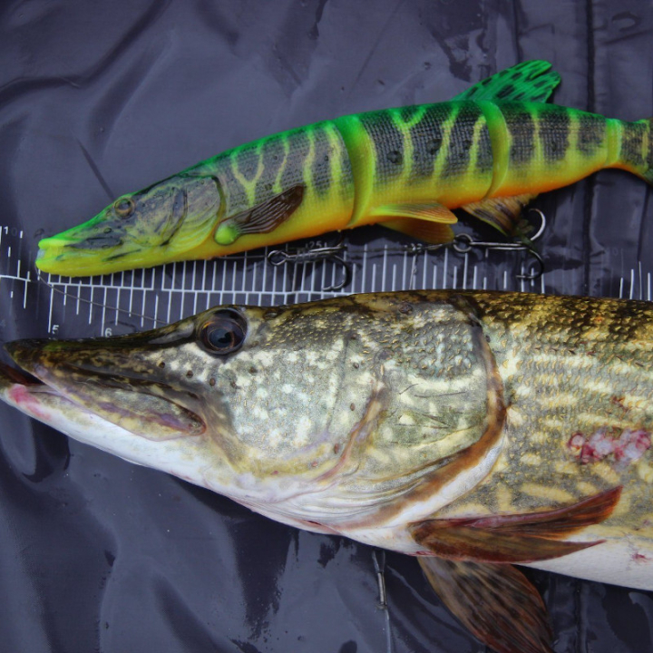 Savage Gear 4D Line Thru Pike