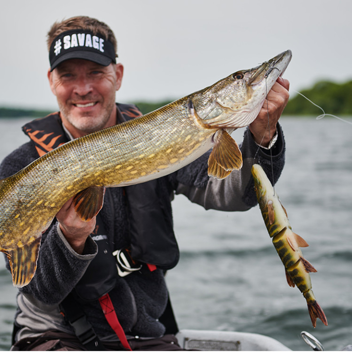 Savage Gear 4D Line Thru Pike