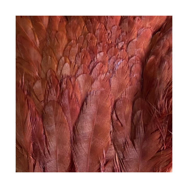 Veniard Genetic Hen Saddles