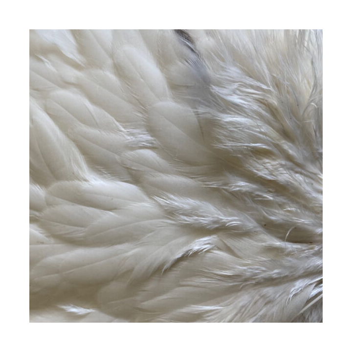 Veniard Genetic Hen Saddles