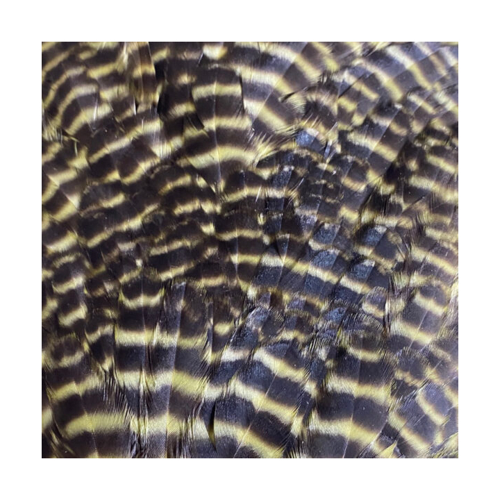 Veniard Genetic Hen Saddles