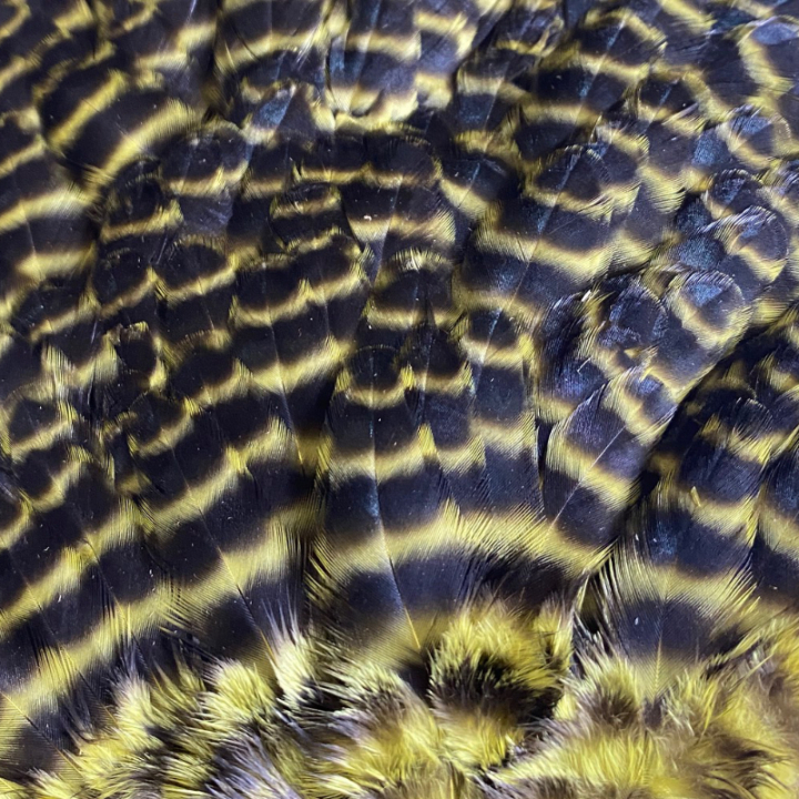 Veniard Genetic Hen Saddles