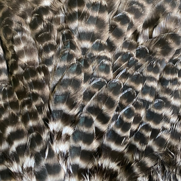 Veniard Genetic Hen Saddles