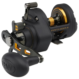 PENN Fathom II SD Star Drag Multiplier