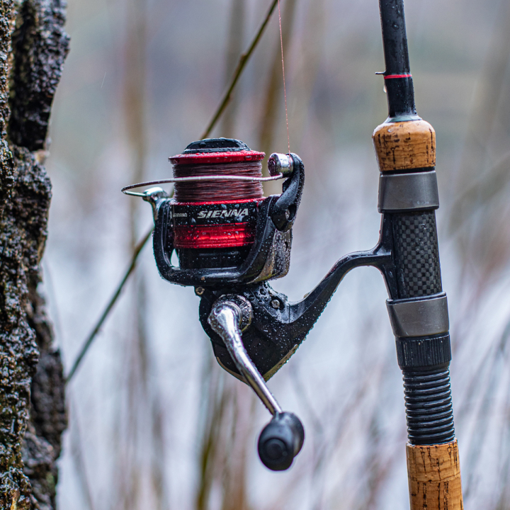 Shimano Sienna FG Reels