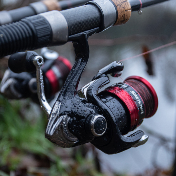 Shimano Sienna FG Reels