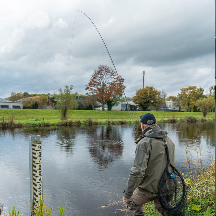 Daiwa Silvercreek X Fly Rods