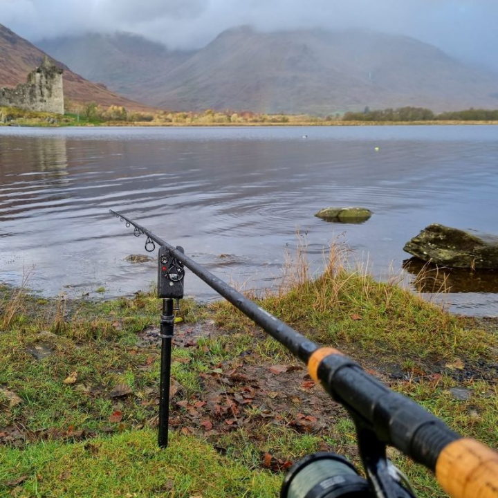 Daiwa Black Widow XT Deadbait Rods