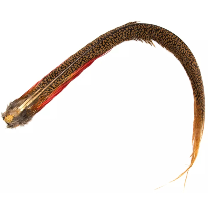 Veniard Golden Pheasant Complete Tail