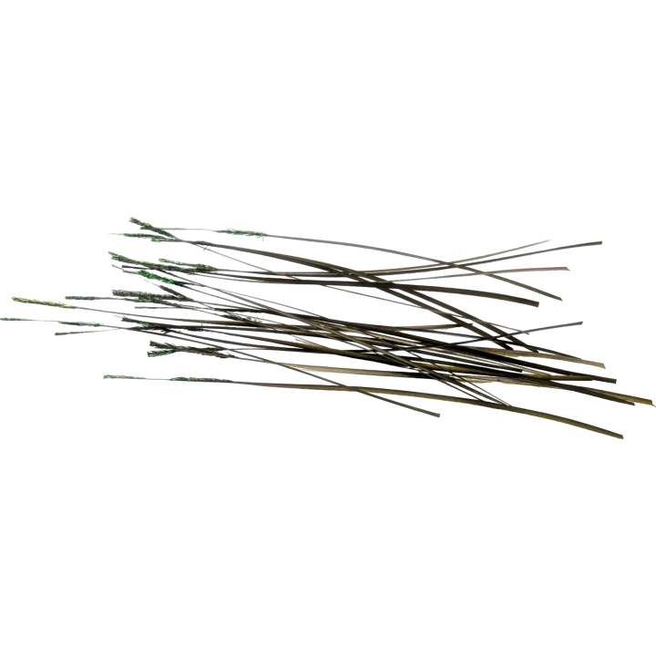 Veniard Stripped Quills
