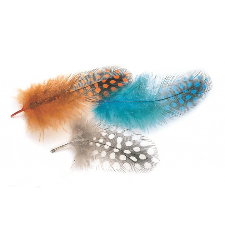 Veniard Guinea Fowl Small Selected