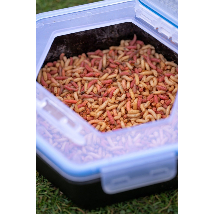 Zebco Secure Lock Bait Boxes