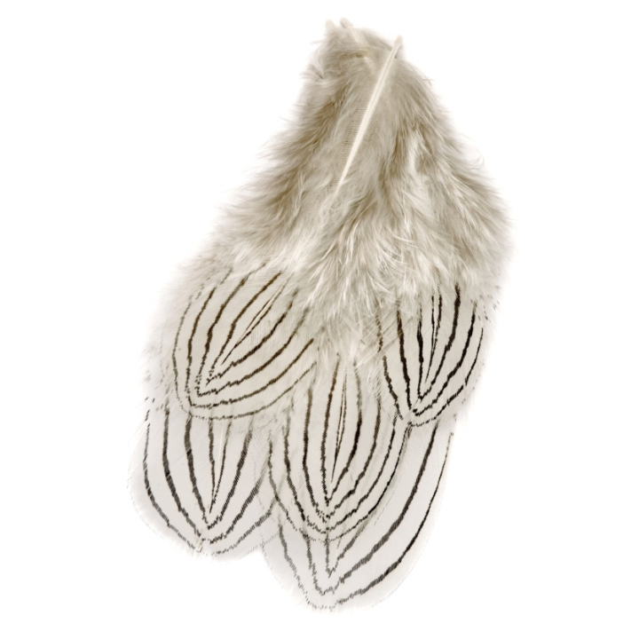 Veniard Silver Pheasant Body Feathers