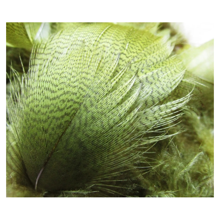 Irish Fly Supplies - Dyed Silver Mallard Feathers
