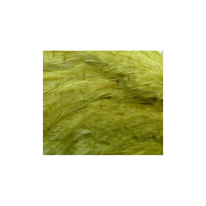 Irish Fly Supplies - Domestic Hen Neck Feathers