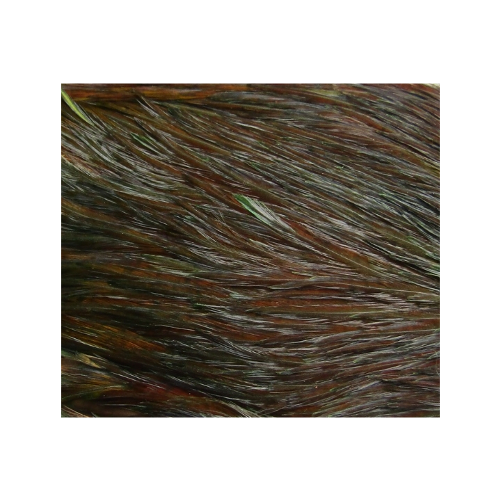 Irish Fly Supplies - Domestic Hen Neck Feathers