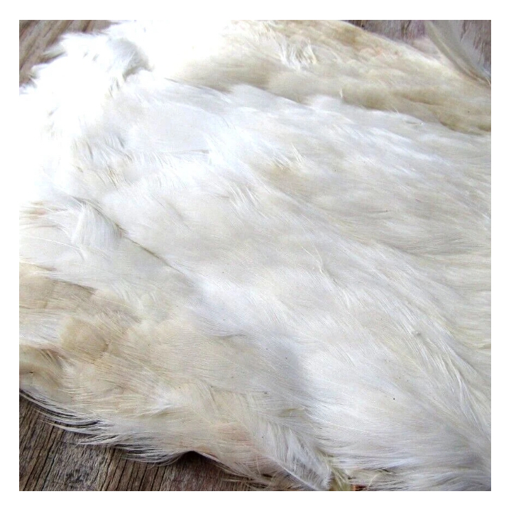 Irish Fly Supplies - Domestic Hen Neck Feathers