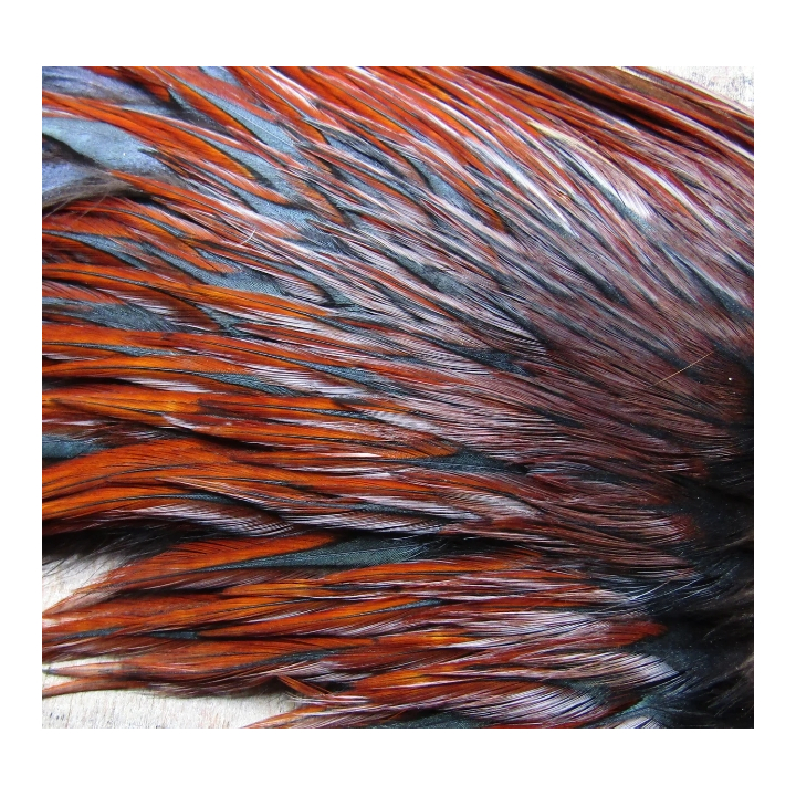 Irish Fly Supplies - Domestic Cock Saddles