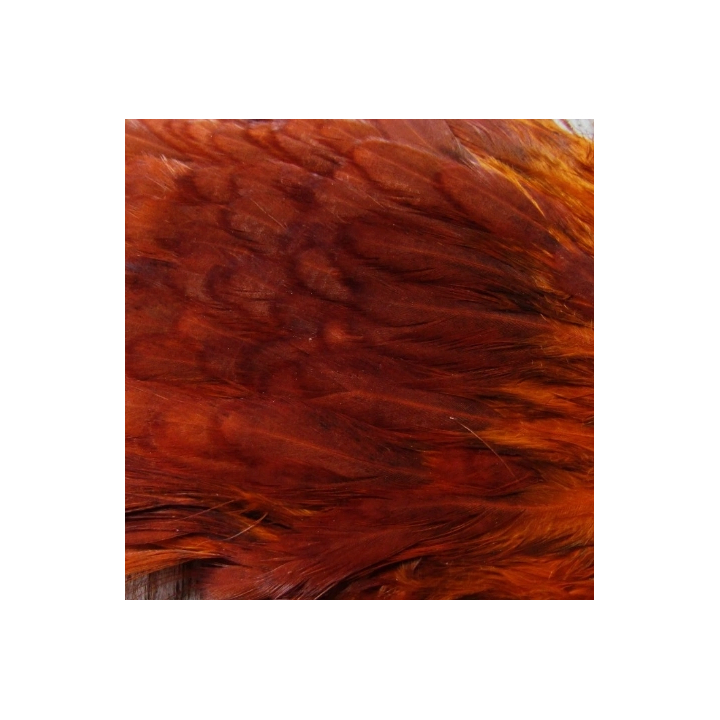Irish Fly Supplies - Domestic Cock Saddles