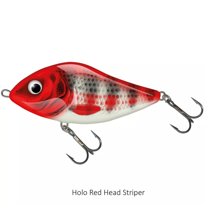 Salmo Slider 10cm Floating Lure