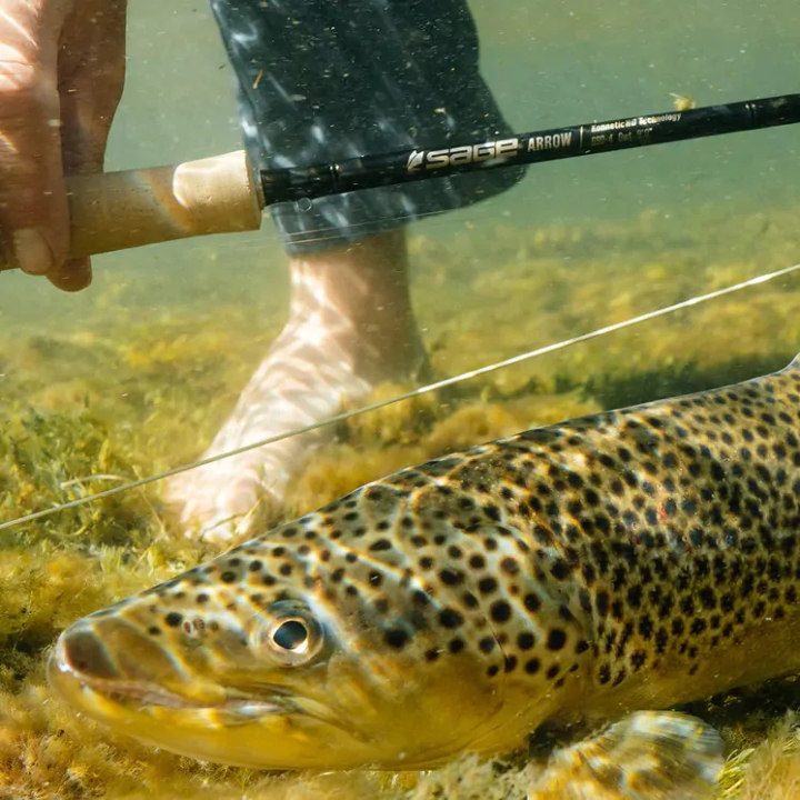 Sage Arrow Fly Rods