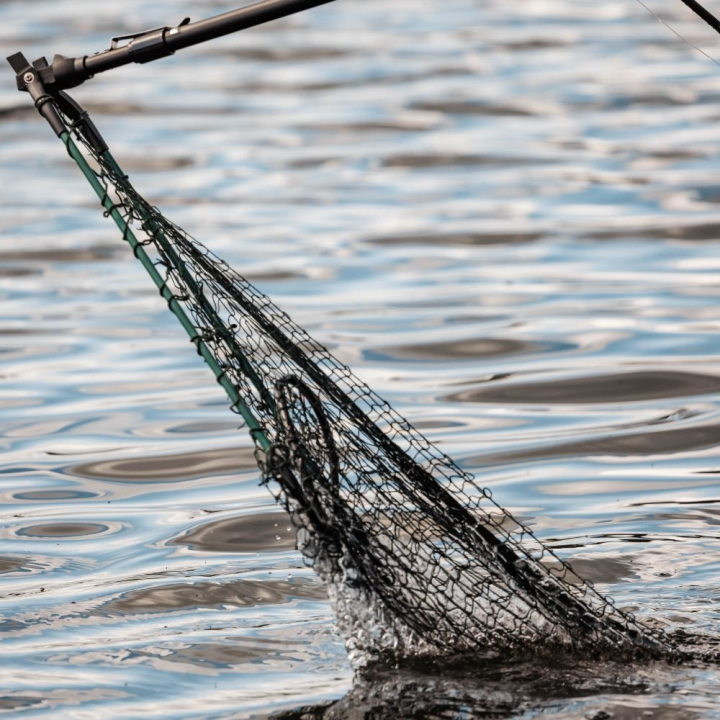 Snowbee Telescopic Folding Landing Net - XXL