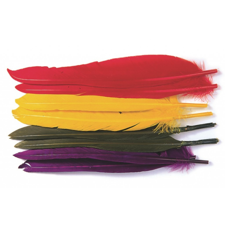 Veniard Duck Quills
