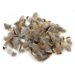 Veniard French Partridge 2g